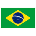 Brazil 3x5 Flag